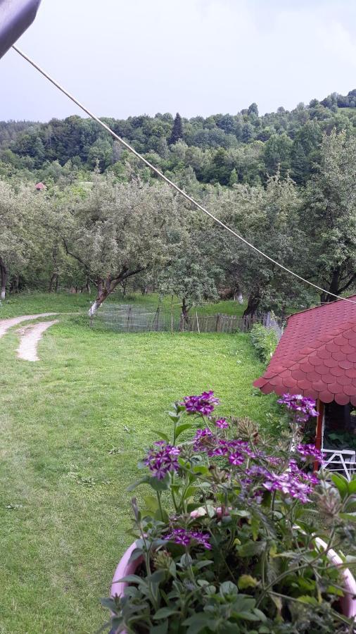 Casa Mariana - Comuna Arefu, Transfagarasan Căpăţîneni-Ungureni Esterno foto